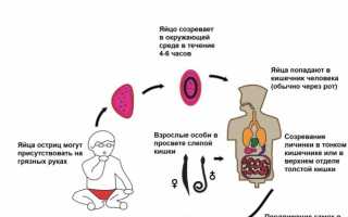 Энтеробиоз у детей: как уничтожить кишечных паразитов