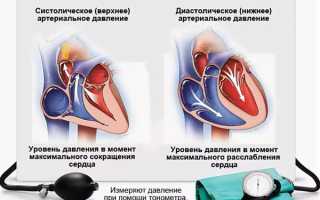 Можно ли изолированно снизить высокое «нижнее» давление и как это сделать с помощью лекарств и народных средств?