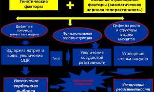 Особенности применения Престариум А (5 и 10 мг) по инструкции и отзывам