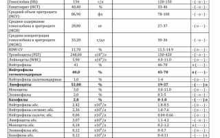 Базофилы у ребенка понижены, повышены, норма