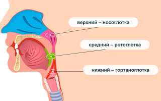 Ринофарингит у детей