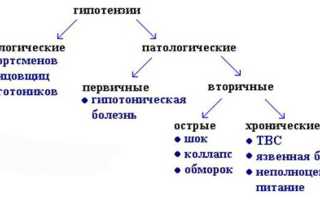 Что выпить при низком давлении в домашних условиях из лекарств, можно ли кофе, вино, коньяк?