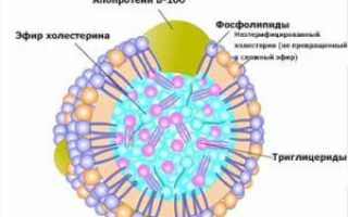 Холестерин низкой плотности (ЛПНП): функции, нормы и его нормализация