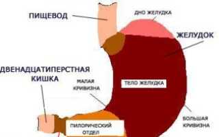 Пилороспазм у детей