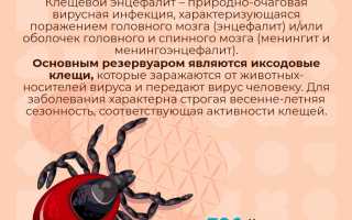 Клещевой энцефалит у детей