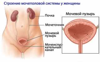 Поллакиурия у детей: почему возникает частое мочеиспускание